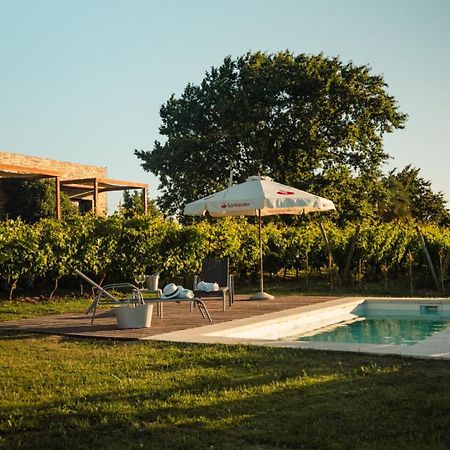 Pizzorno Lodge & Wine Progreso Exteriör bild