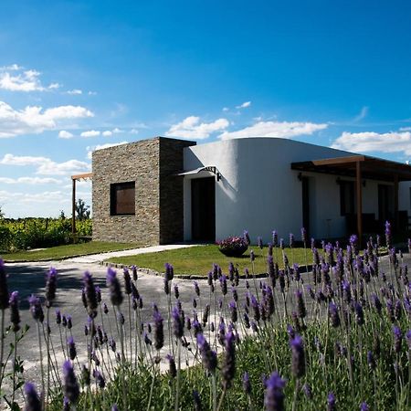 Pizzorno Lodge & Wine Progreso Exteriör bild