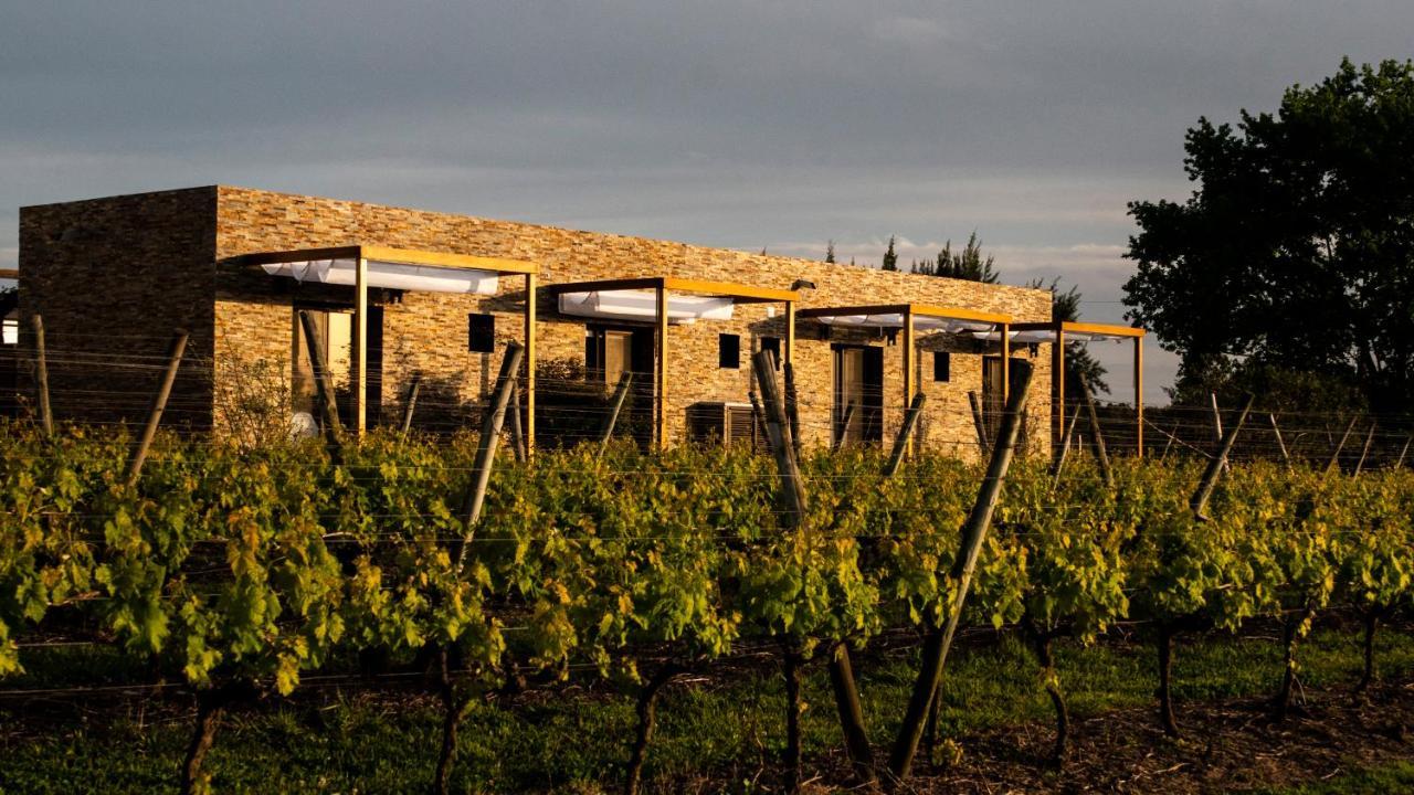 Pizzorno Lodge & Wine Progreso Exteriör bild