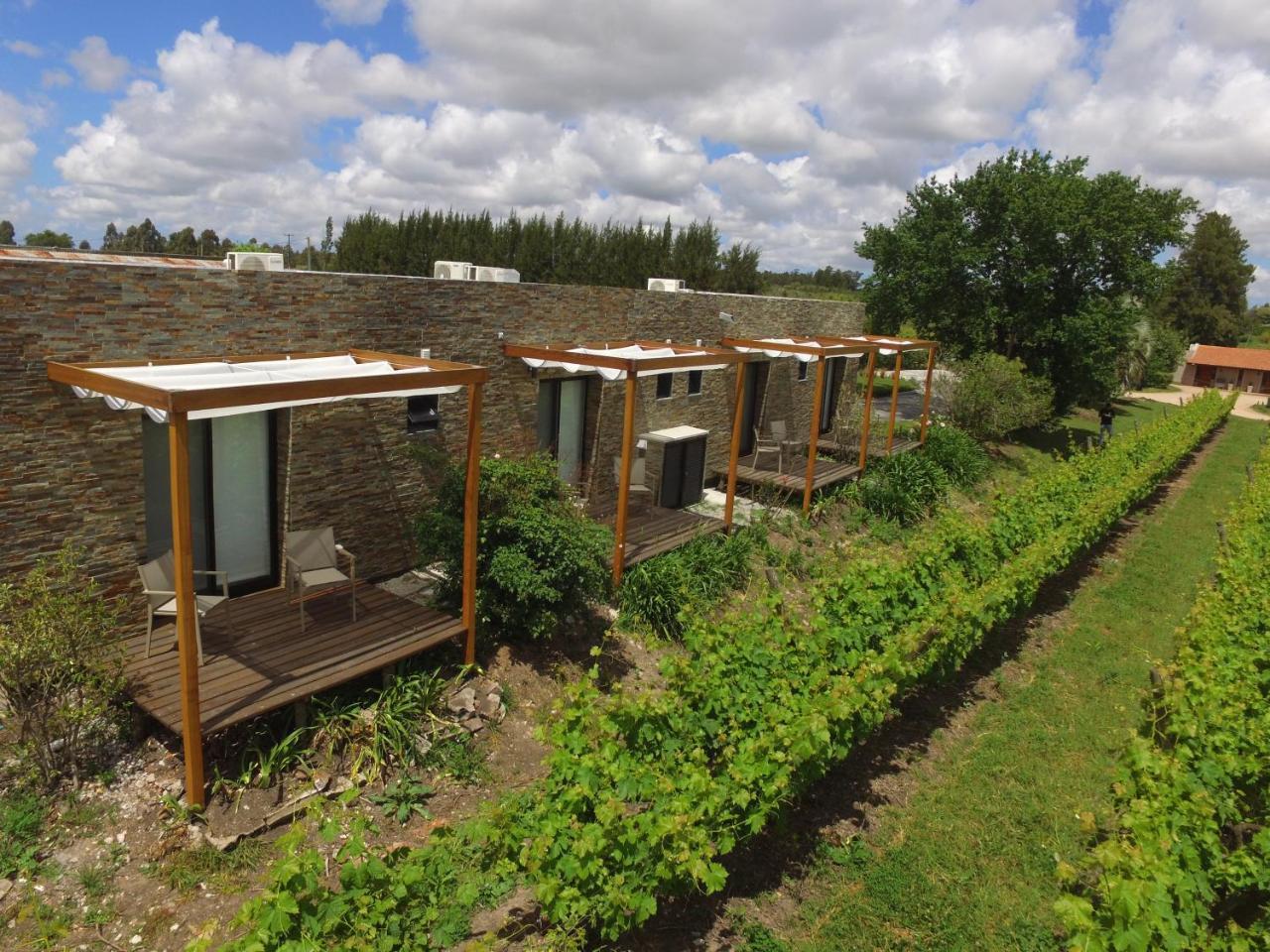 Pizzorno Lodge & Wine Progreso Exteriör bild