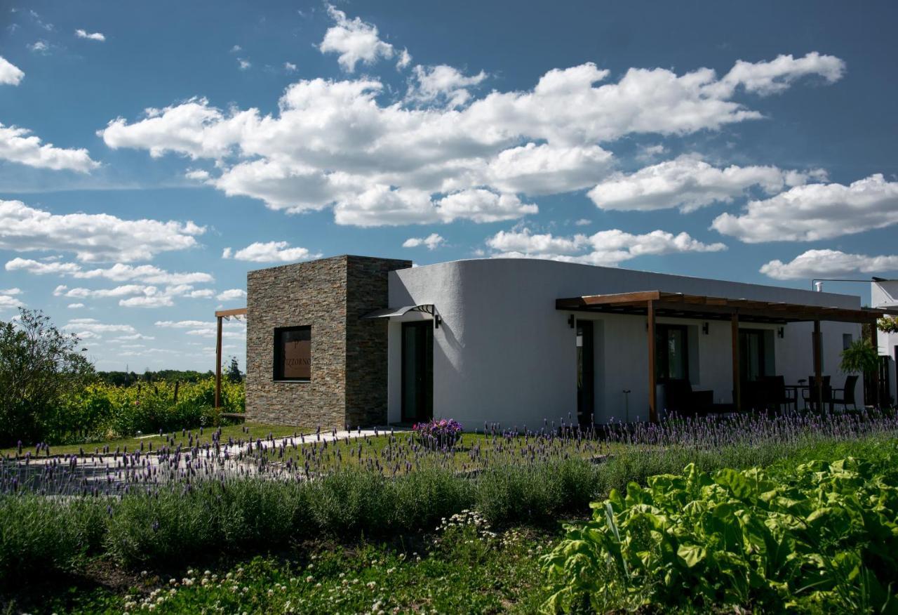 Pizzorno Lodge & Wine Progreso Exteriör bild