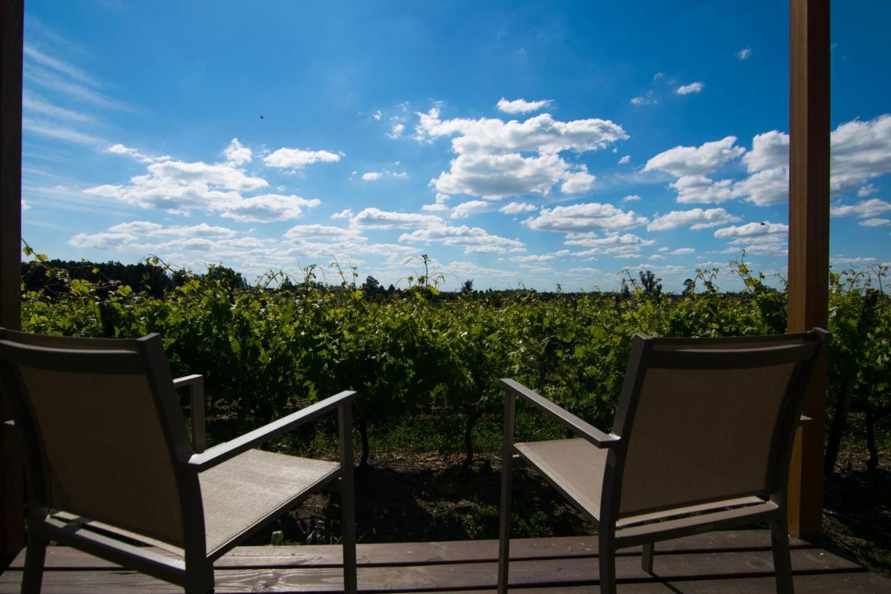 Pizzorno Lodge & Wine Progreso Exteriör bild