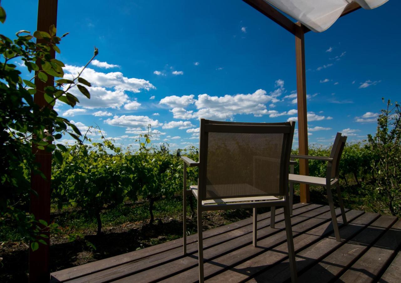 Pizzorno Lodge & Wine Progreso Exteriör bild