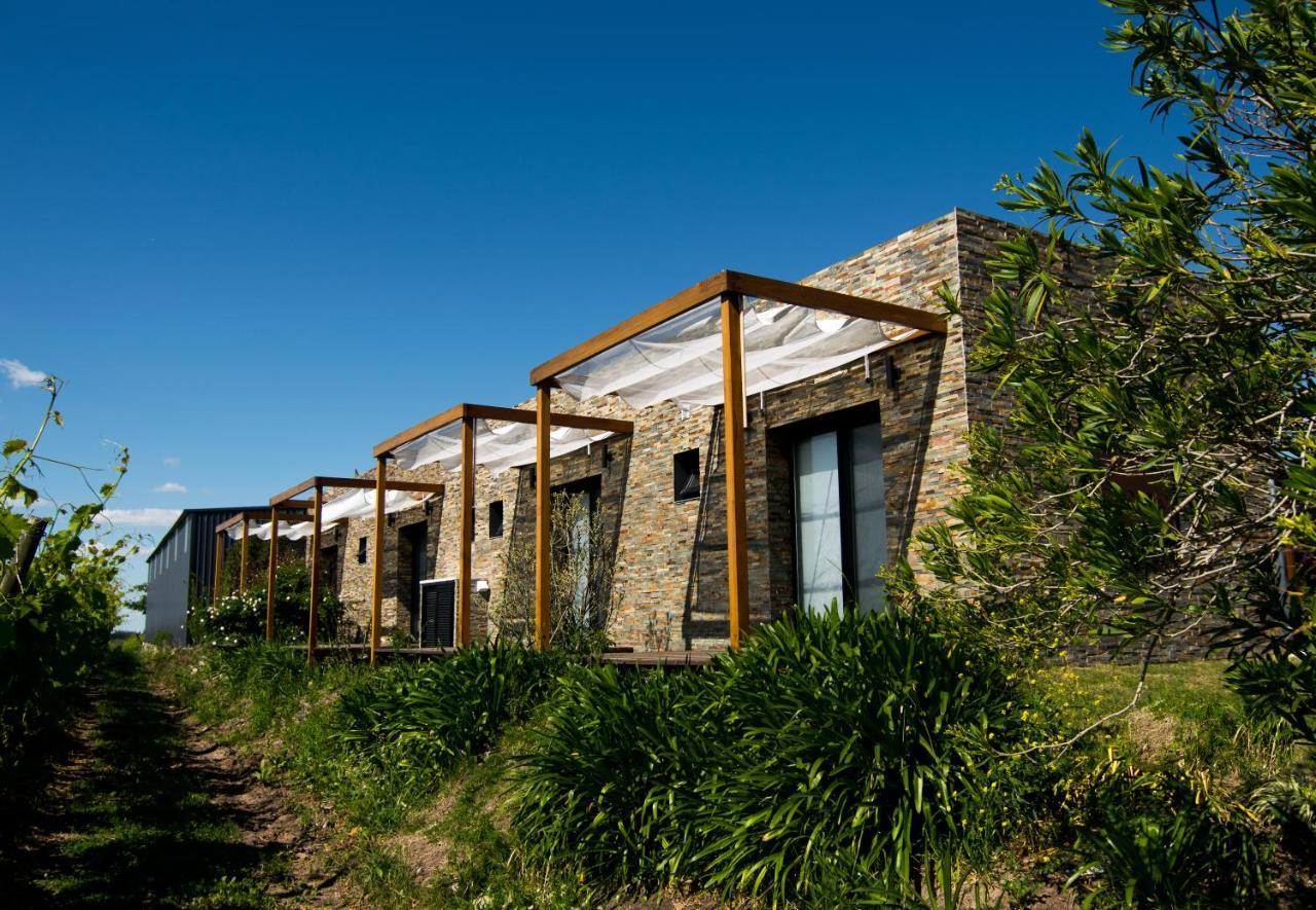Pizzorno Lodge & Wine Progreso Exteriör bild