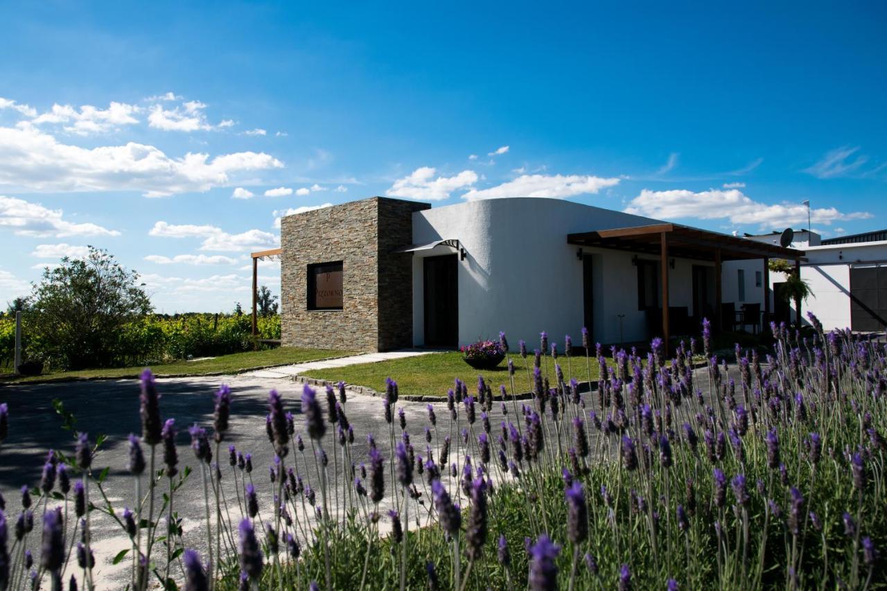 Pizzorno Lodge & Wine Progreso Exteriör bild